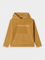Sweatshirt para Rapaz - Amarelo - 4FJWAW24TFLEM213