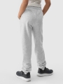 TROUSERS 4FJWMM00TTROF1189 cinzento
