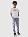 T-shirt estampada para rapaz - Branco 4FJWMM00TTSHM2331 Branco