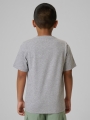 T-shirt para Rapaz - Cinzento - 4FJWMM00TTSHM2331               