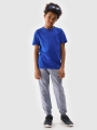 T-shirt normal de rapaz com estampado - azul 4FJWSS25TTSHM1881 azul