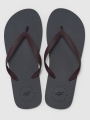 Chinelos de Dedo para Homem - Cinzento - 4FMM00FFLIM026A 