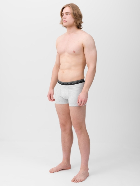 Boxer (2-Pack) - Cinzento - 4FWMM00UBXSM052