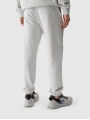 TROUSERS 4FWSS25TTROU0997 cinzento