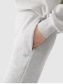 TROUSERS 4FWSS25TTROU0997 cinzento