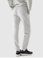 TROUSERS 4FWSS25TTROU0997 cinzento